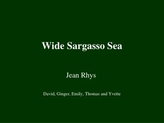 Wide Sargasso Sea