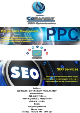 dallas ppc management