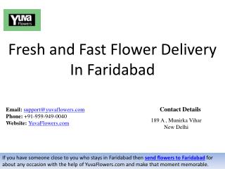 Fresh and Fast Flower Delivery In Faridabad