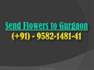 Send Flowers to Gurgaon | 9582-1481-41