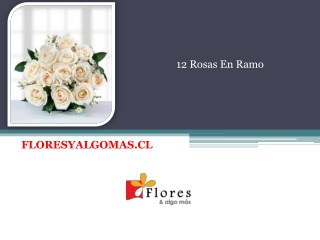 12 Rosas En Ramo - Floresyalgomas Chile