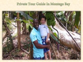 Private Tour Guide In Montego Bay