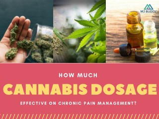 How much cannabis Dosage Effective on Chronic Pain Management