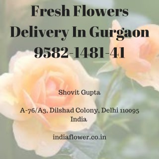 Fresh Flowers Delivery In Gurgaon | 9582-1481-41