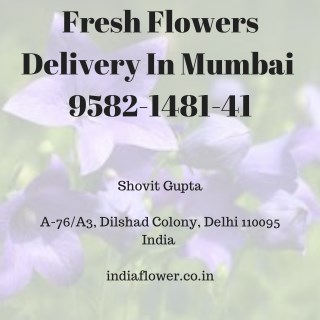 Fresh Flowers Delivery In Mumbai | 9582-1481-41