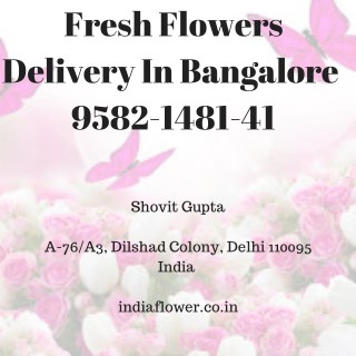 Fresh Flowers Delivery In Bangalore | 9582-1481-41