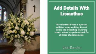 Add Wow Factor to Your Decoration with Lisianthus Flower