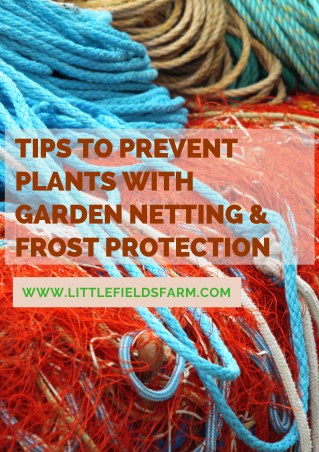 Tips to Prevent Plants With Garden Netting & Frost Protection