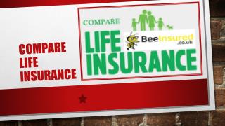 Compare Best Life Insurance Terms With Bee Insured