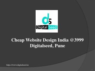 Low Cost Website Design Company | Digitalseed, Pune