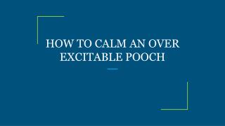 HOW TO CALM AN OVER EXCITABLE POOCH