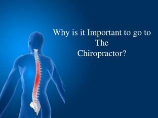 Why is it Important to go to The Chiropractor? - Stapleton Chiropractic Adelaide