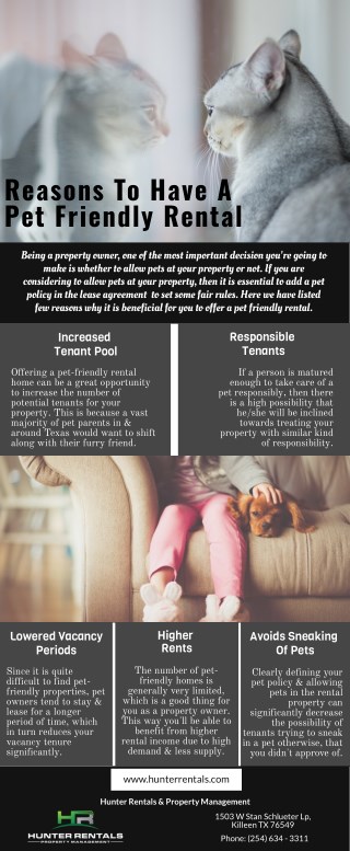 Reasons To Have A Pet Friendly Rental