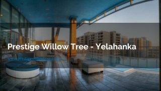 1 BHK Apartments In Vidhyaranyapuram Bangalore