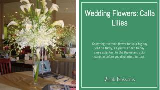 Wedding Flowers: Use Calla Lilies for Your Special Ceremonies