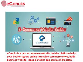 Ecommerce Website Builder Pakistan