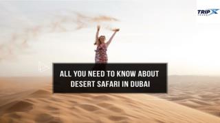 All you need to know about desert safari in Dubai