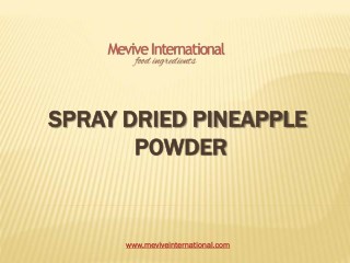 Spray Dried Pineapple powder supplier in india
