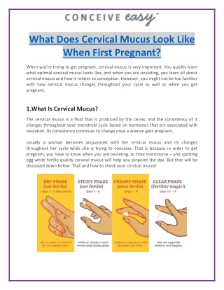 What Does Cervical Mucus Look Like When First Pregnant