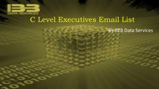 C Level Executive Email List - B2B Data Services