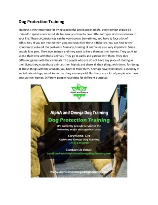 Dog Protection Training