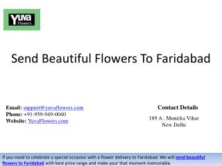 Send Beautiful Flowers To Faridabad