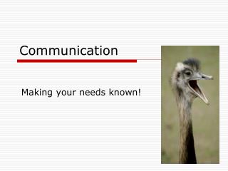 Communication