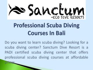 Professional Scuba Diving Courses In Bali