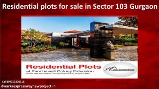 Residential Plots for Sale in Sector 103 Gurgaon