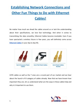 Establishing Network Connections and Other Fun Things to Do with Ethernet Cables!