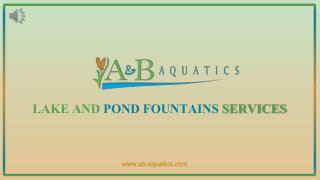 A & B Aquatics- Pond and Lake Cleaners