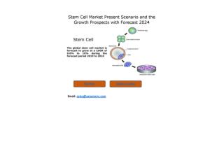 Stem Cell Market Future Demand & Growth Analysis with Forecast up to 2024