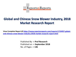 Global Snow Blower Industry with a focus on the Chinese Market