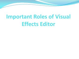 Important Roles of Visual Effects Editor