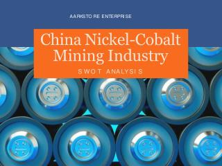 China Nickel Cobalt Industry Analysis Report 2017