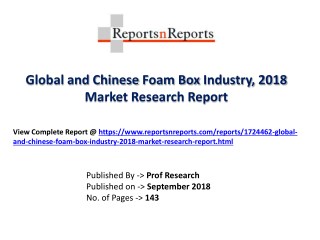 Global Foam Box Industry with a focus on the Chinese Market