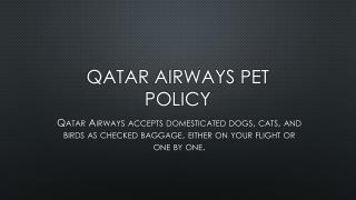 Qatar Airways Pet Policy