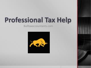 Professional Tax Help - bulltaxaccountants.com