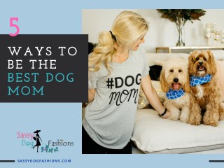 Know These Top Ways To Be The Best Dog Mom