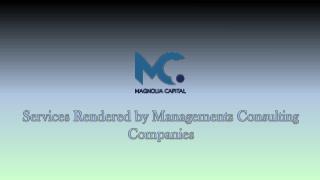 Services Rendered by Managements Consulting Companies