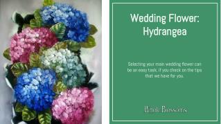 Buying the Best Hydrangea Wedding Flower for Sale