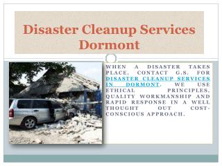 Disaster Cleanup Services Dormont