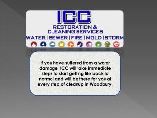 Water Damage Cleanup Rochester