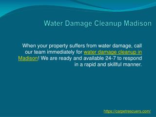 Water Damage Cleanup Madison