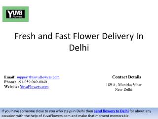 Fresh and Fast Flower Delivery In Delhi