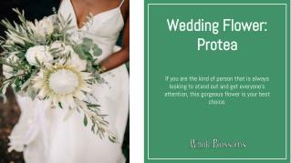 Use Protea Flower at Your Big Day Ceremony
