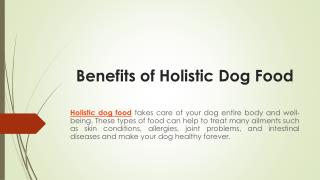 Benefits of Holistic Dog Food