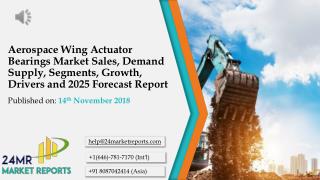 Aerospace Wing Actuator Bearings Market Sales, Demand Supply, Segments, Growth, Drivers and 2025 Forecast Report