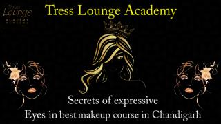 Secrets of expressive Eyes in best makeup course in Chandigarh