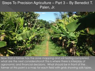 Steps To Precision Agriculture – Part 3 – By Benedict T. Palen, Jr.